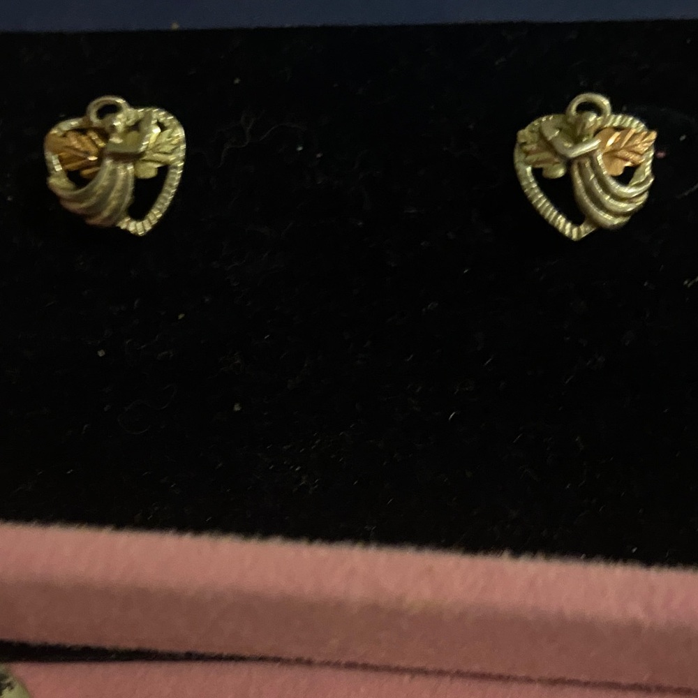 Chic Gold and Silver Heart Earrings